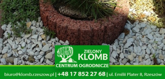Zeolit ogrodniczy (do ogrodu, oczek) - Kamień ozdobny