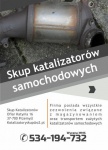 Skup KATALIZATORÓW , Podkarpackie