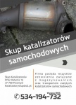 Skup Katalizatorów Skupujemy: Katalizatory Ceramiczne Katali