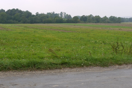 Wydzierżawię 5 ha pola Sulistrowa koło Krosna / Jasła / Dukli