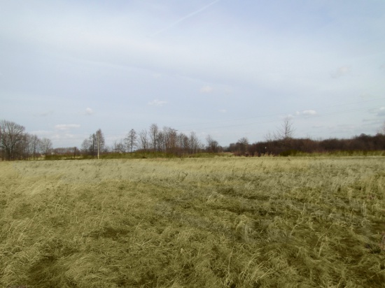Sprzedam działkę z decyzją o warunkach zabudowy